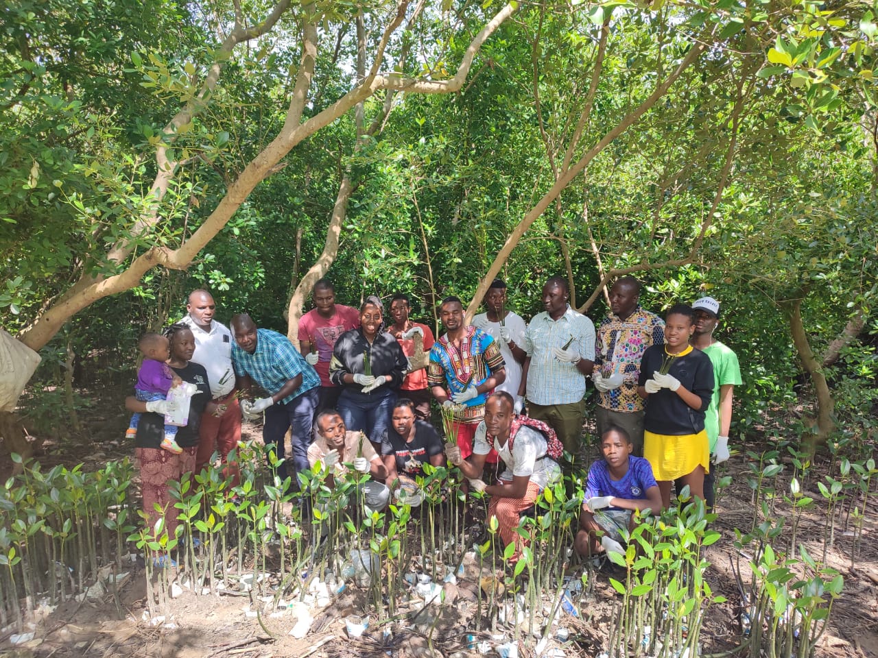 Mtwapa Creek CSR 5 A.N. Kamau & Co. Advocates